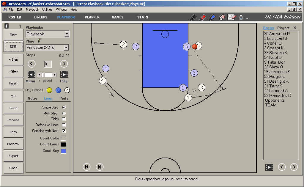 basketball play software